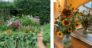 Flowers in the garden on the left. Image on right flowers in vase
